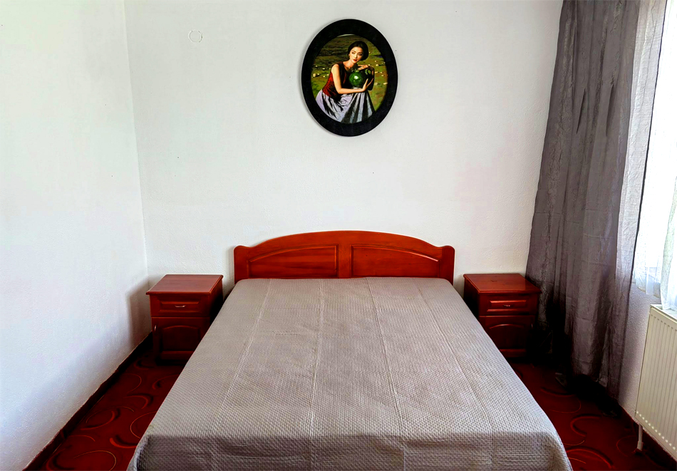 Нова година в Цигов чарк! 3 нощувки за група от 24 човека и ползване на оборудвана механа от Комплекс 7М. Допускат се домашни любимци!, снимка 13