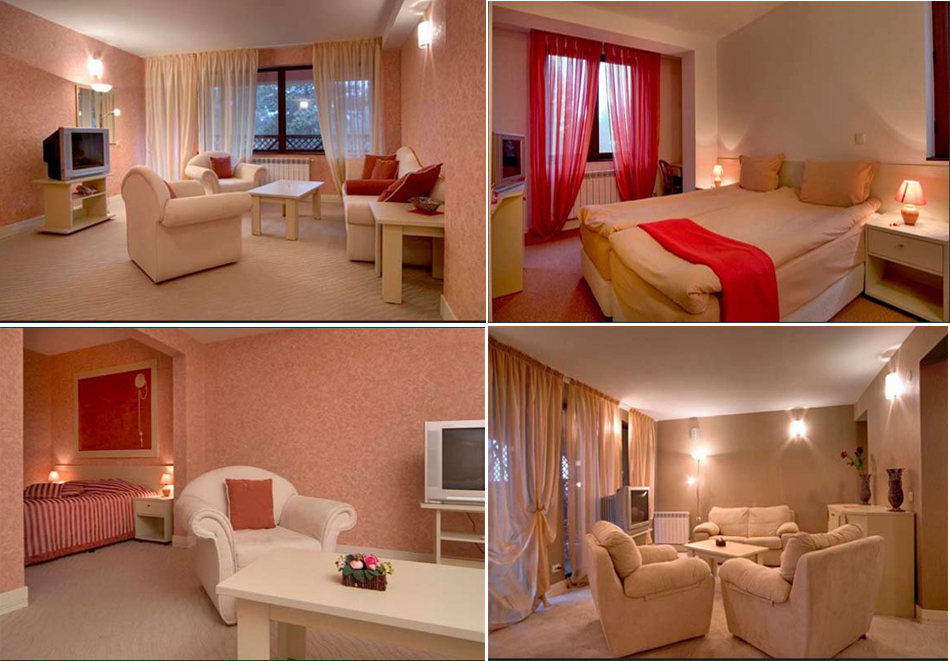 Нова година в Паничище! 2 или 3 нощувки на човек със закуски и вечери, едната Празнична с DJ парти от хотел Теменуга, снимка 5