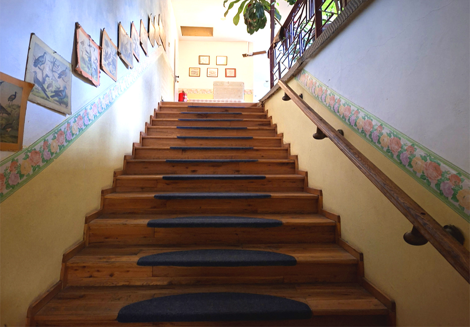 Уикенд до Пампорово! Нощувка за 24 човека + домашна закуска и ползване на трапезария с камина и напълно оборудвана кухня от Къща за гости У Нико, Орехово, снимка 10