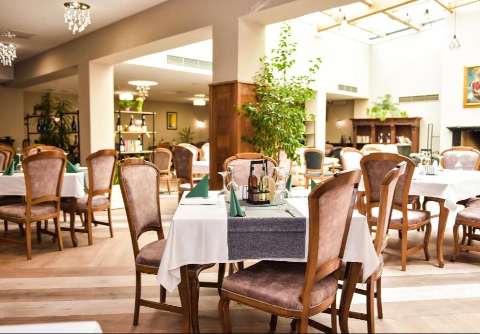 Винен тур край Белоградчик! Нощувка със закуска на човек + дегустация във винарска изба "Магура" - Дълбоко в сърцето на пещерата + басейн с релакс зона в хотел Скалите, снимка 11