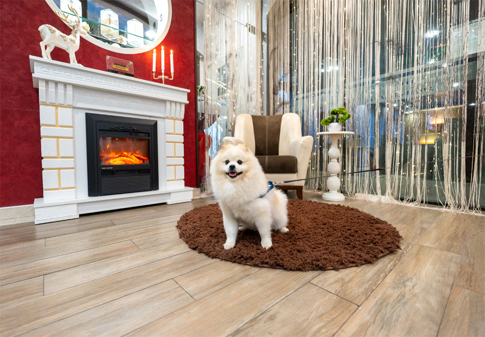 Хотел Енира, Велинград, снимка 3