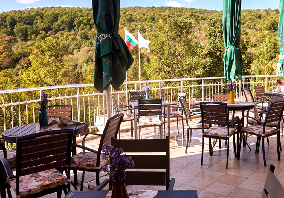 Уикенд в Балнео хотел Божур, с. Минерални Бани! 2 нощувки на човек със закуски, обеди и вечери + вътрешен минерален басейн, парна баня и сауна, снимка 23