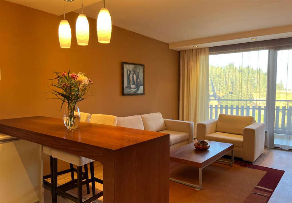 Апартаменти за гости Свети Трифон, Пампорово, снимка 7