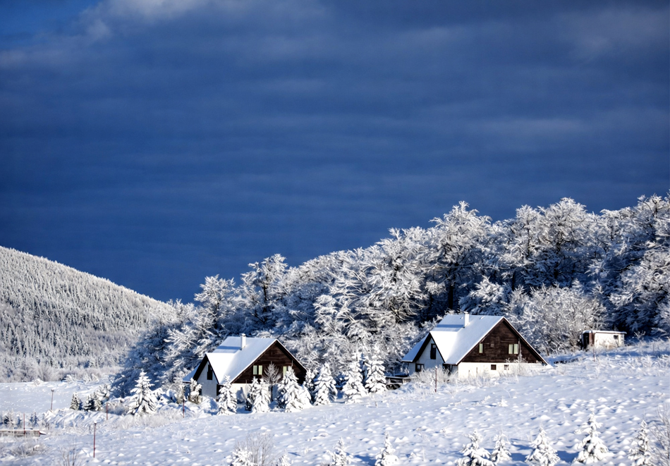 Почивка край Габрово: Нощувка за 15 човека в самостоятелна къща от Еко къщи, м. Узана, снимка 2
