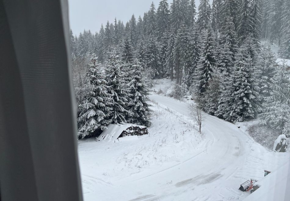 Почивка край Пампорово, м. Райковски ливади до Смолян: Нощувка на човек в НОВООТКРИТИЯ хотел Родопе, снимка 6