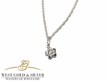 West Gold & Silver, снимка 5