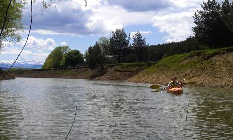 Wild Fun Club, снимка 2