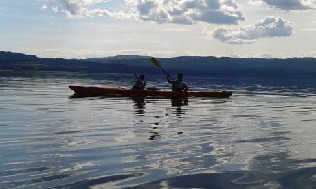 Wild Fun Club, снимка 5