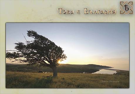 Travel TV , снимка 4