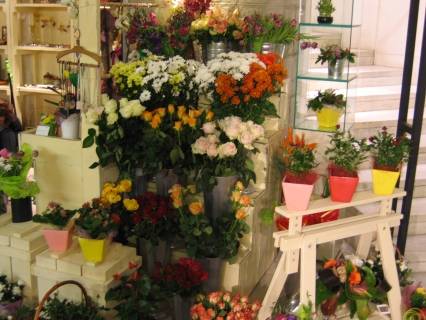 Белисима Груп ЕООД