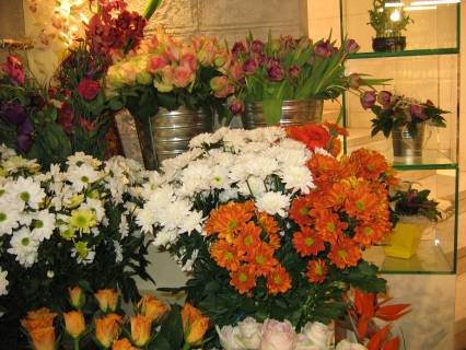 Белисима Груп ЕООД, снимка 2