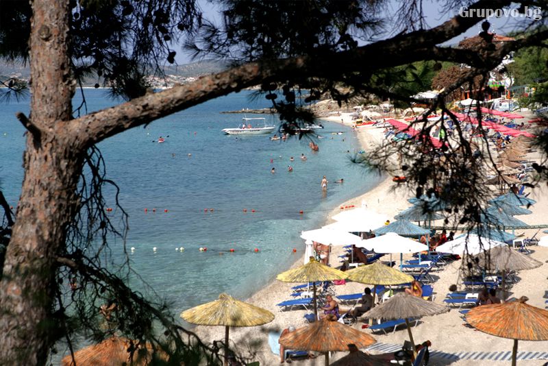 Pefkari Beach Sudio Albatros, Тасос, Гърция, снимка 12