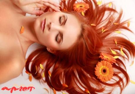 Арлет Енерджи, Студентски гард, снимка 2