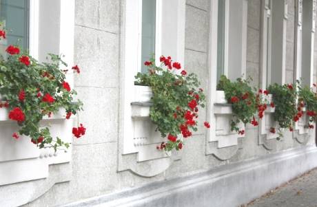 Апартаменти Виена