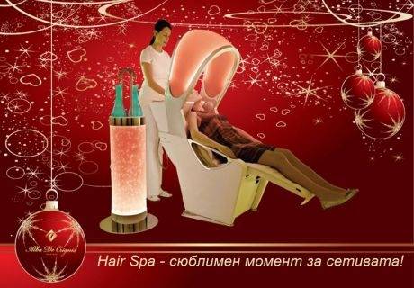 Hair Spa Алба де Кринис, снимка 3